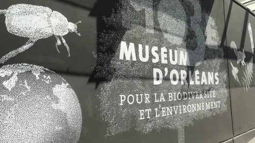Le Muséum d’Orléans pour la biodiversité et l’environnement gratuit...